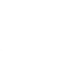 NerdX Digital